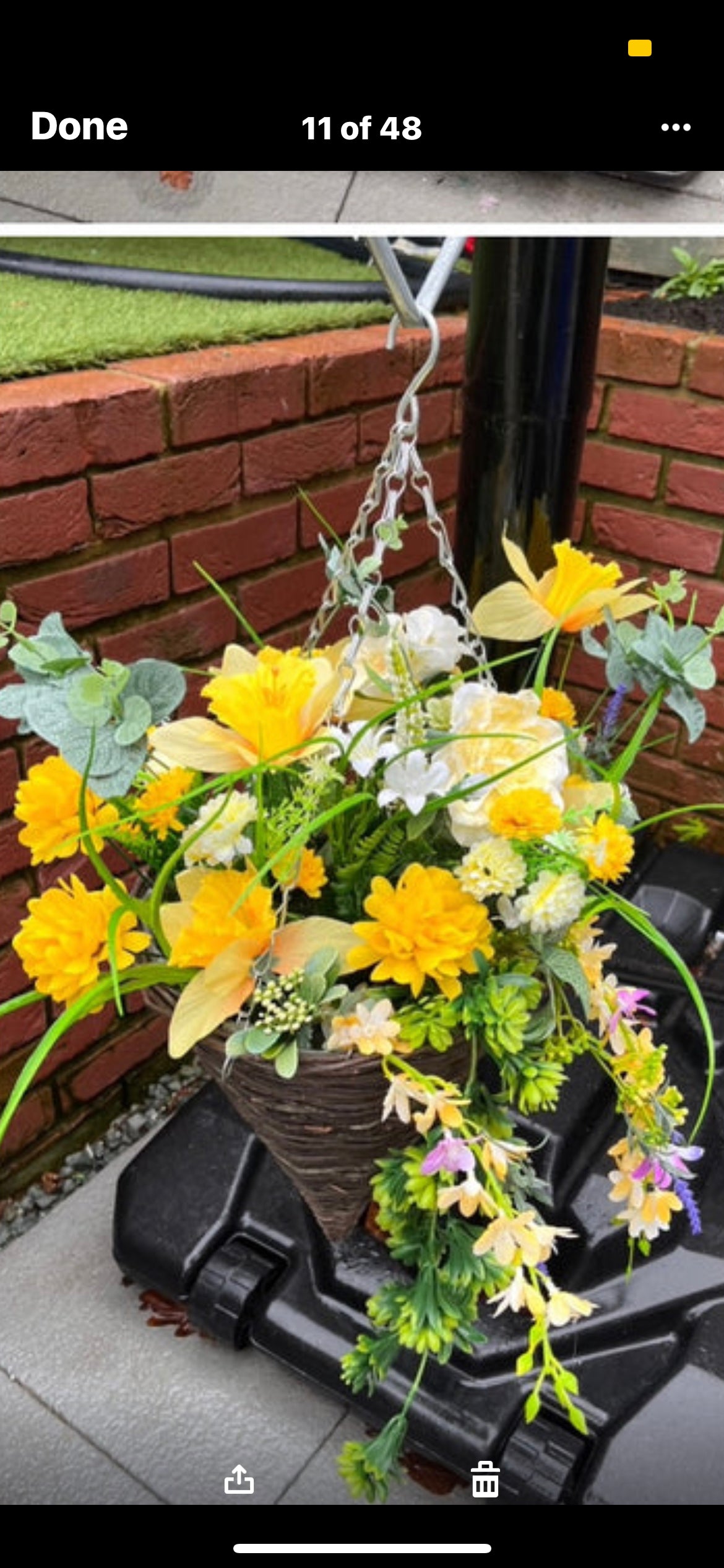 Hanging Baskets