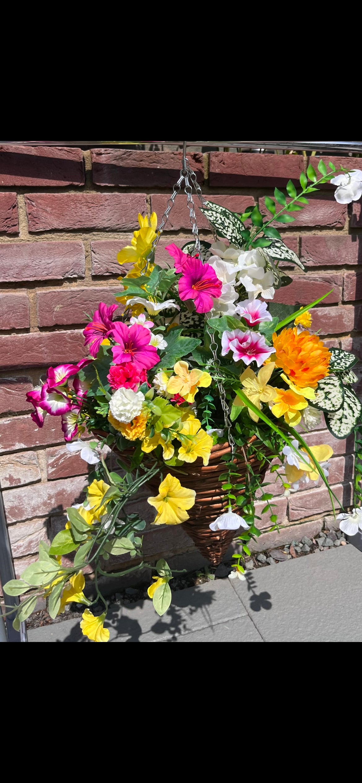 Hanging Baskets