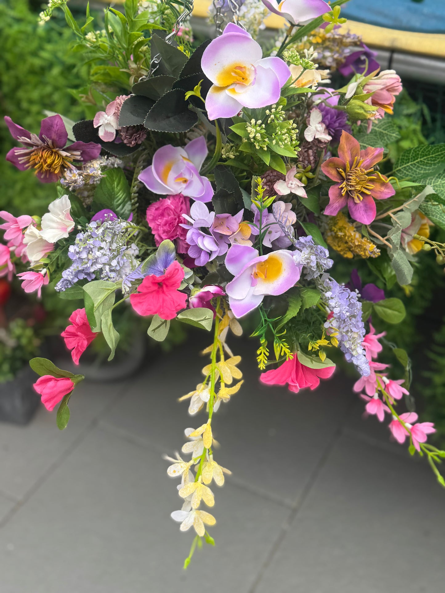 Hanging Baskets