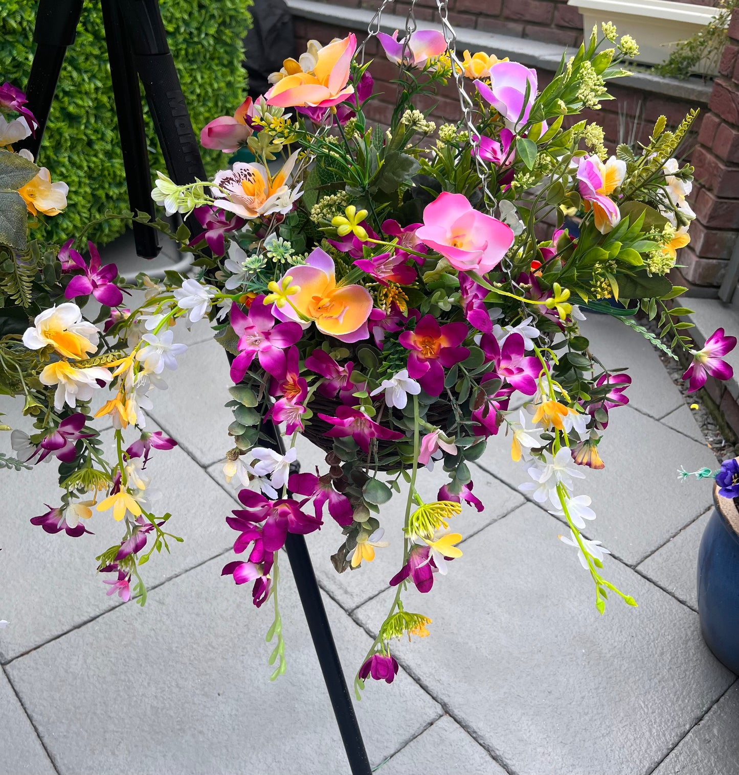 Hanging Baskets