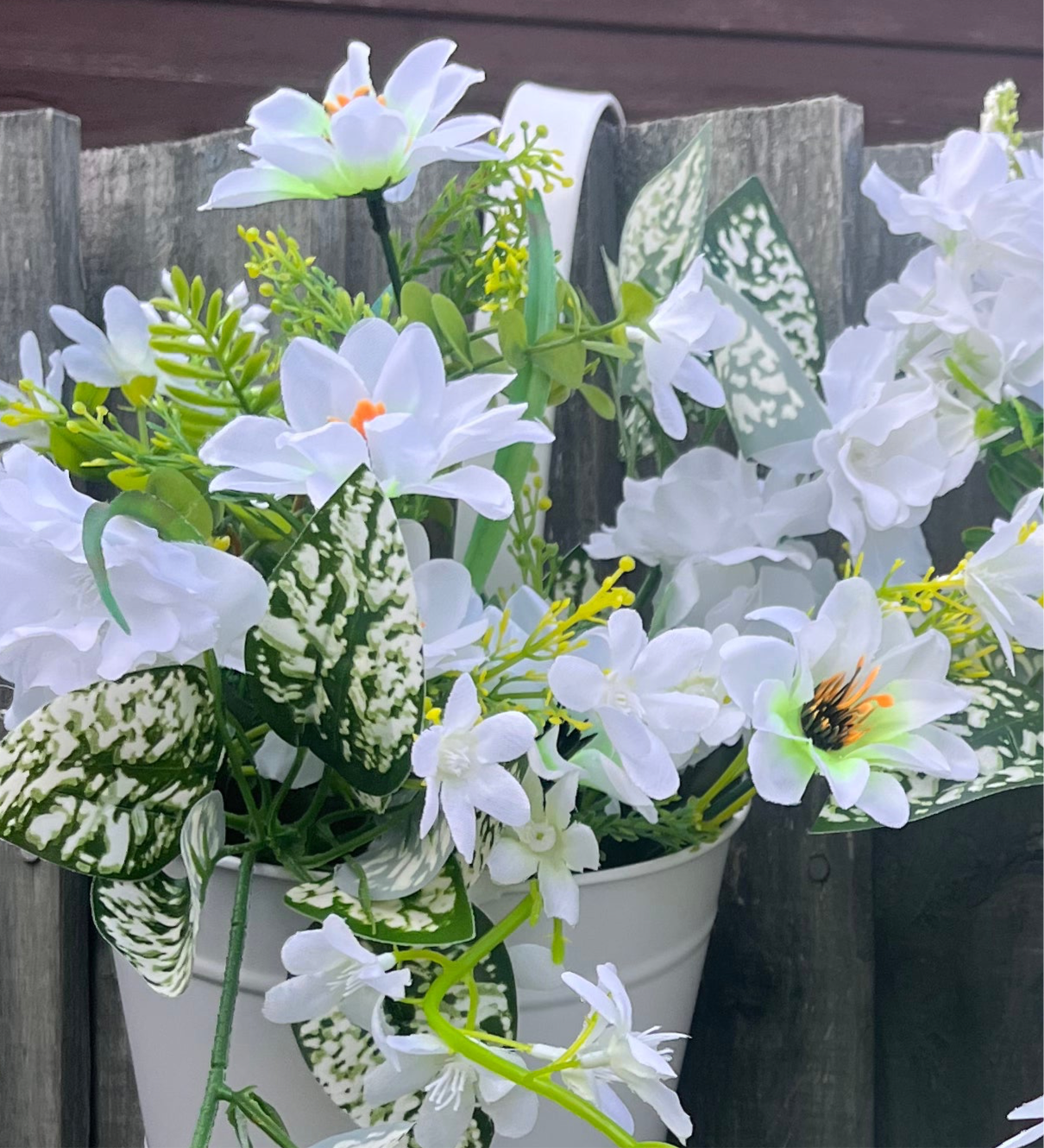 Single hanging Planters
