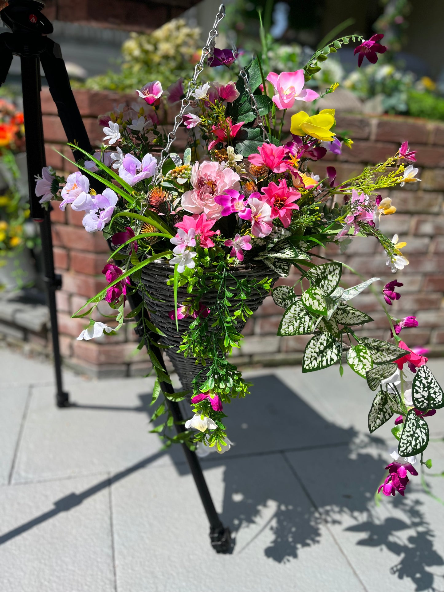 Hanging Baskets