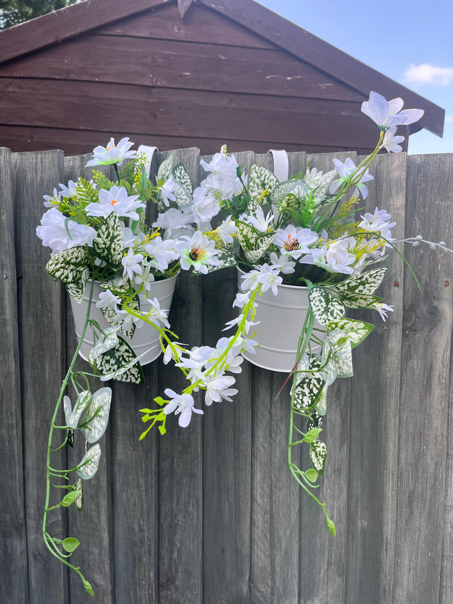 Single hanging Planters