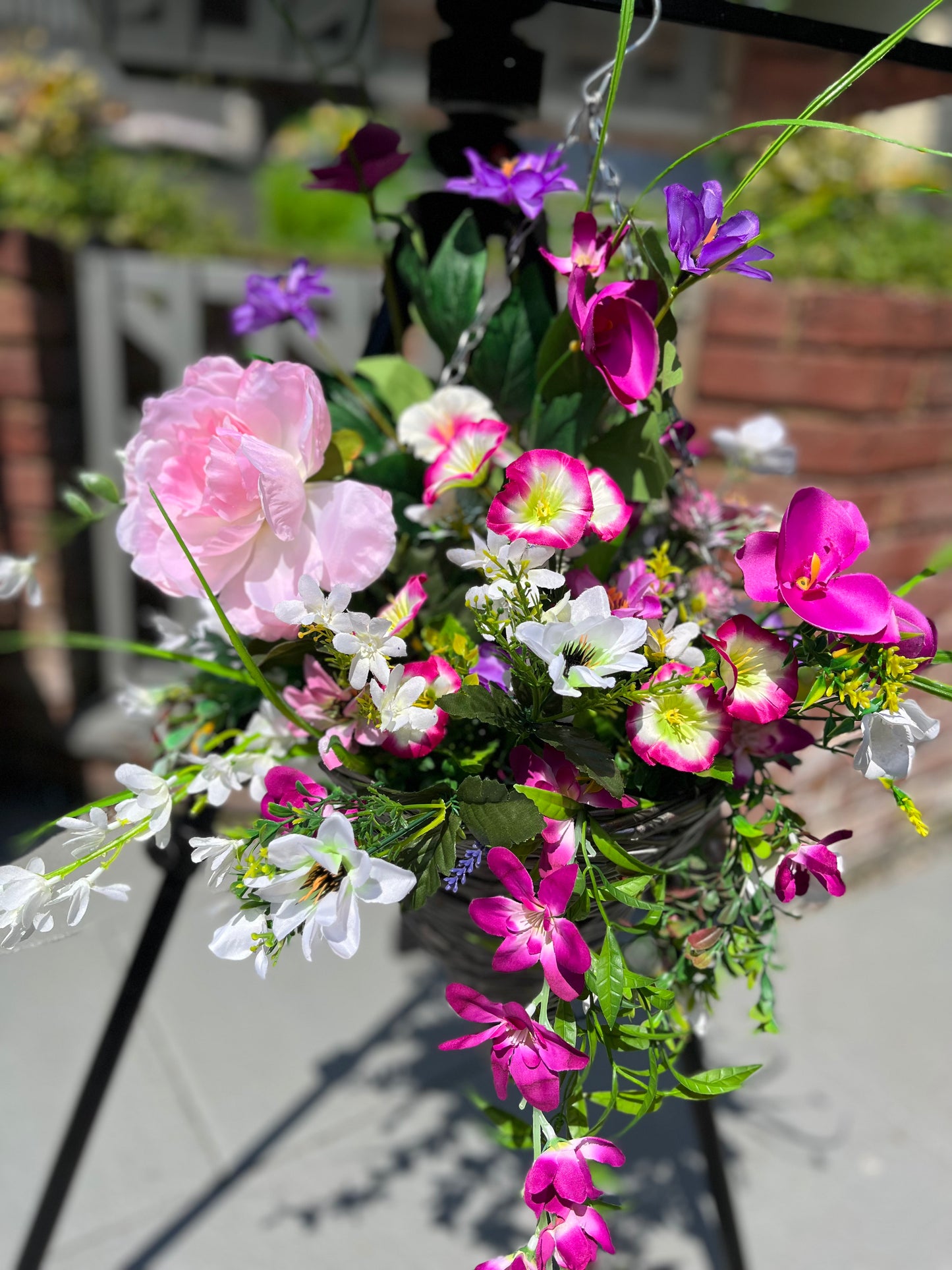 Hanging Baskets