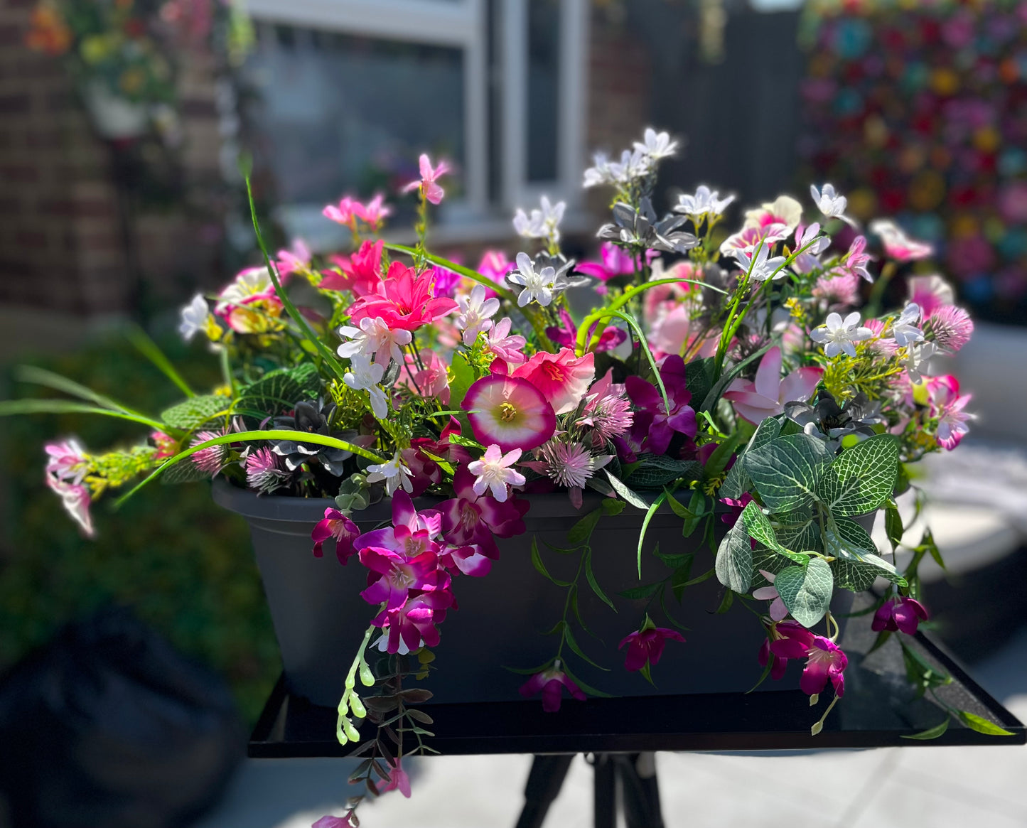 Hanging Baskets